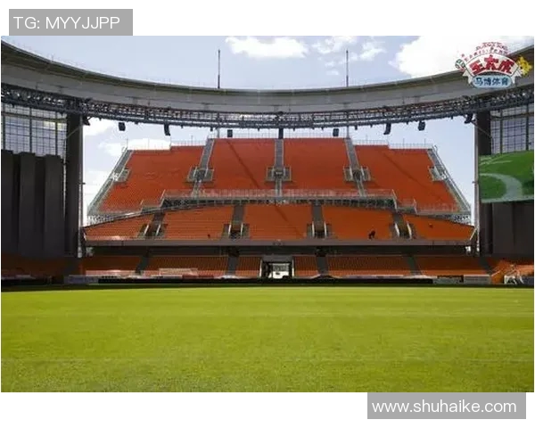 秘鲁足球明星的辉煌历程与成就全景解析